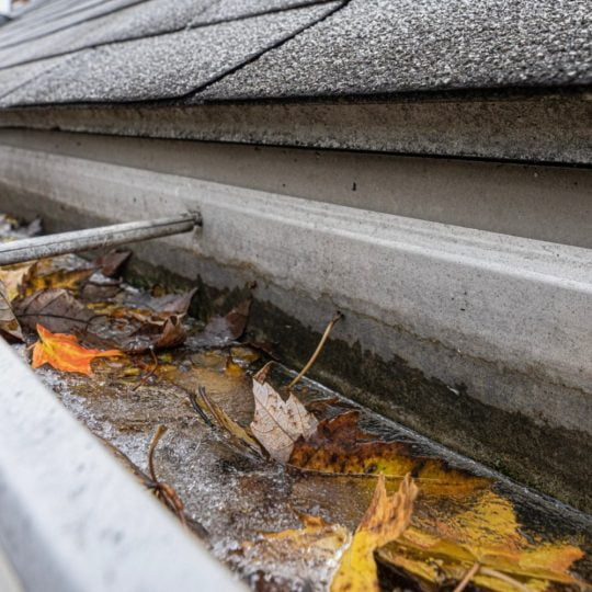 Gutter Clean