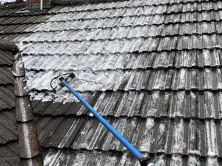 Roof cleaning image