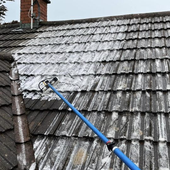 Roof cleaning image