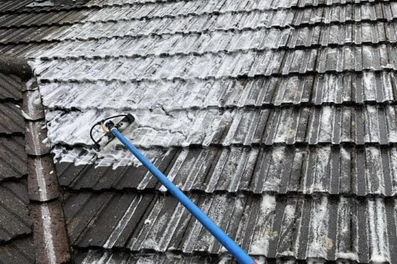 Roof cleaning image